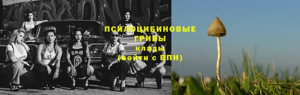 хмурый Балахна