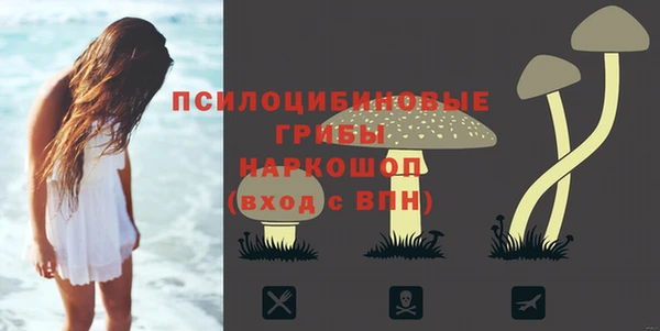 хмурый Балахна